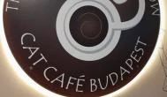 Cat Café - Révay utca Budapest - Egyéb