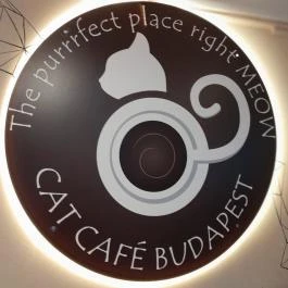 Cat Café - Révay utca Budapest - Egyéb