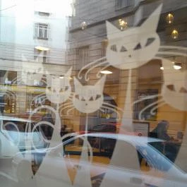 Cat Café - Révay utca Budapest - Egyéb