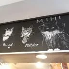 Cat Café - Révay utca Budapest - Egyéb