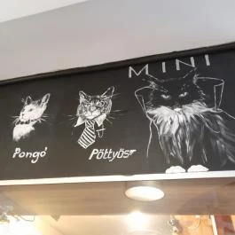 Cat Café - Révay utca Budapest - Egyéb