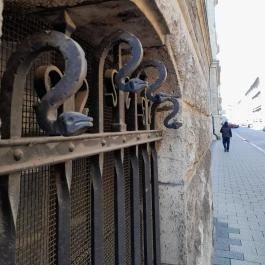 Cat Café - Révay utca Budapest - Egyéb