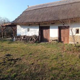 Dániel Vendégháza, Pákozd - Egyéb