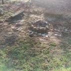 Dániel Vendégháza Pákozd - Egyéb