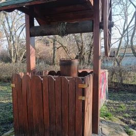 Dániel Vendégháza, Pákozd - Egyéb