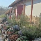 Dániel Vendégháza Pákozd - Egyéb