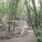 Dera-szurdok Pilisszentkereszt - Egyéb