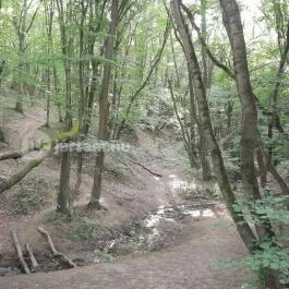 Dera-szurdok, Pilisszentkereszt - Egyéb