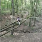 Dera-szurdok Pilisszentkereszt - Egyéb