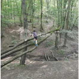 Dera-szurdok, Pilisszentkereszt - Egyéb