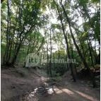 Dera-szurdok Pilisszentkereszt - Egyéb