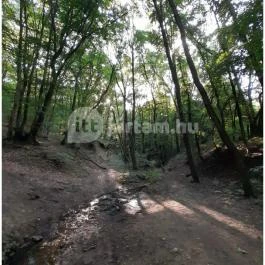 Dera-szurdok, Pilisszentkereszt - Egyéb