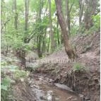 Dera-szurdok Pilisszentkereszt - Egyéb