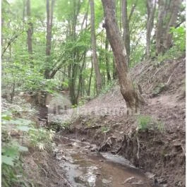 Dera-szurdok, Pilisszentkereszt - Egyéb