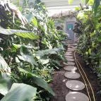 ELTE Füvészkert Budapest - Egyéb