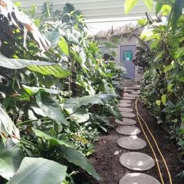 ELTE Füvészkert, Budapest - Egyéb