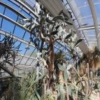 ELTE Füvészkert Budapest - Egyéb