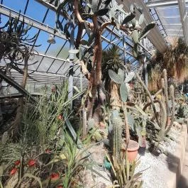 ELTE Füvészkert, Budapest - Egyéb