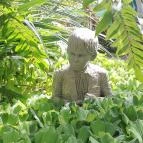 ELTE Füvészkert Budapest - Egyéb