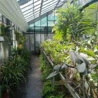 ELTE Füvészkert Budapest - Egyéb