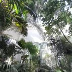 ELTE Füvészkert Budapest - Egyéb