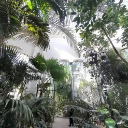 ELTE Füvészkert, Budapest - Egyéb