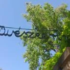 ELTE Füvészkert Budapest - Egyéb