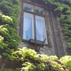 ELTE Füvészkert Budapest - Egyéb