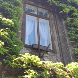 ELTE Füvészkert, Budapest - Egyéb