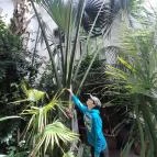 ELTE Füvészkert Budapest - Egyéb