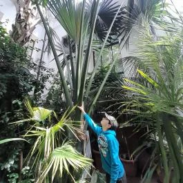 ELTE Füvészkert, Budapest - Egyéb