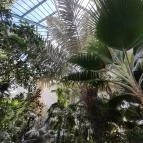 ELTE Füvészkert Budapest - Egyéb