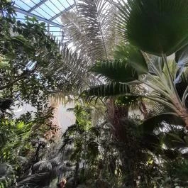 ELTE Füvészkert, Budapest - Egyéb