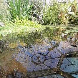 ELTE Füvészkert, Budapest - Egyéb