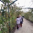 Esterházy-Kastély Fertőd - Egyéb