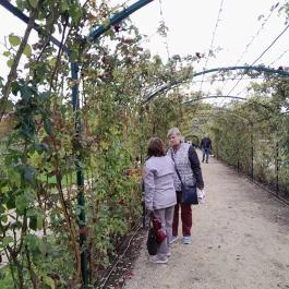 Esterházy-Kastély, Fertőd - Egyéb