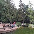 Esterházy-Kastély Fertőd - Egyéb