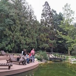 Esterházy-Kastély, Fertőd - Egyéb