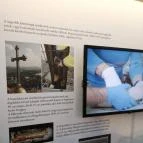 Esztergomi Bazilika Esztergom - Egyéb