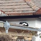 Hollókő Ófalu Hollókő - Egyéb