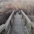 Hollókő Ófalu Hollókő - Egyéb