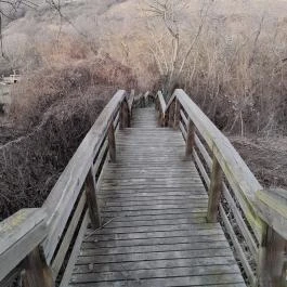 Hollókő Ófalu Hollókő - Egyéb