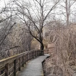 Hollókő Ófalu Hollókő - Egyéb