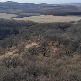 Hollókői Vár, Hollókő - Egyéb