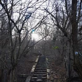 Hollókői Vár, Hollókő - Egyéb