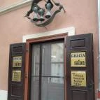 Idegenvezetés Sopron történelmi belvárosában Sopron - Egyéb