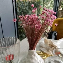 IL Monte Pizzéria, Badacsonytomaj - Egyéb