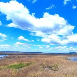 Velencei-tó Velence - Egyéb