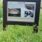 Katonai Emlékpark Pákozd - Nemzeti Emlékhely Pákozd - Egyéb