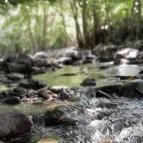 Kemencei Erdei Múzeum Vasút Kemence - Egyéb